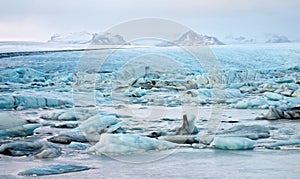 Illustration of Glacial Lagoon