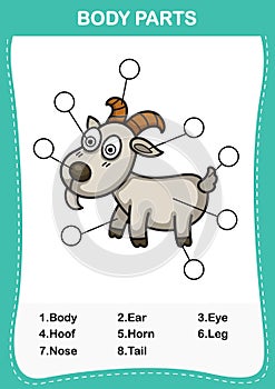 Illustration of goat vocabulary part of body