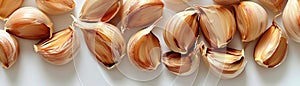 Illustration of golden brown fried garlic cloves arranged neatly on a white surface photo