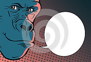 Illustration gorilla head on a color background