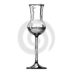 Illustration of Grappa glass