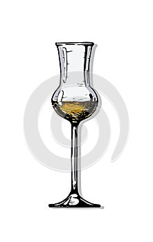 Illustration of Grappa glass