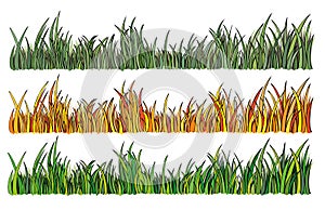 Illustration of grass in 3 different colors