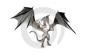 Illustration of a gray dragon with spread wings standing and snarling in an angry pose isolated on a white background