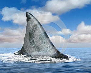 Great White Shark Fin, Ocean, Sea photo