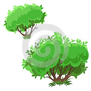 Illustration of green bushes on a white background.