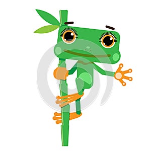 Illustration of a Green Frog on a Branch