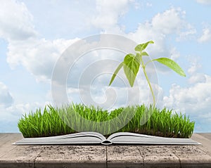 Illustration of green landscape with sprout covered grass on an open book