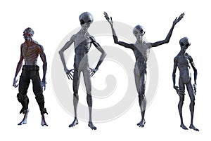 Illustration of a group of three gray aliens and another extraterrestrial specie standing in various poses isolated on a white