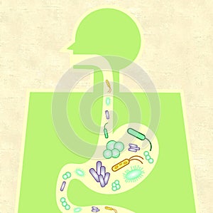 Illustration of gut microbiome photo