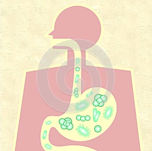 Illustration of gut microbiome