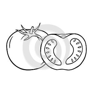 Illustration of a half tomato in a hand drawn style.