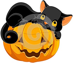 Halloween Kitten