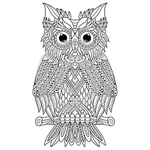 Hand drawn of owl in zentangle style