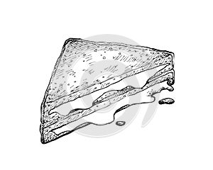 Hand Drawn of Grilled Cheese Sandwich on White Background