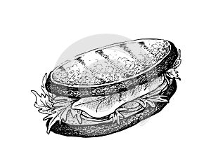 Hand Drawn of Grilled Sandwich on White Background