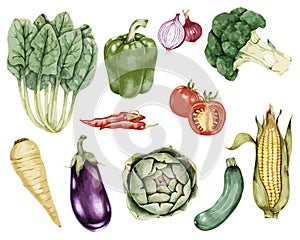 Illustration of Hand drawn vegetable collection