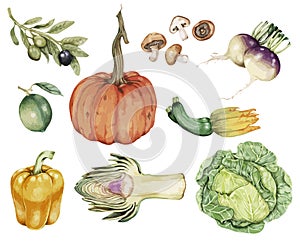 Illustration of Hand drawn vegetable collection