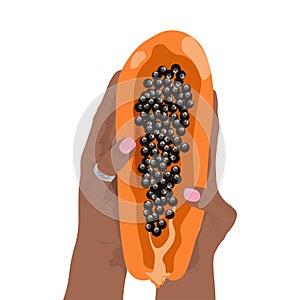Illustration of a hands holding fresh papaya piece isolated on white background