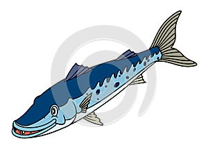 Illustration of happy blue Barracuda or Northern pike. Image of predator fish for use in biology books or other educational materi