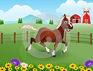 Happy horse cartoon in the farm with green field