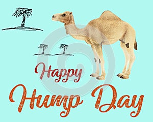 Illustration of the `Happy Hump day` - Happy wednesday -