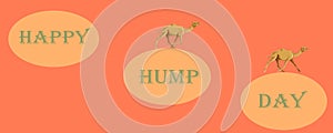 Illustration of the `Happy Hump day` - Happy wednesday -