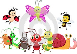 Illustration of happy insect cartoon isolated on white background