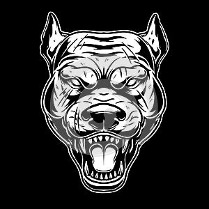 Illustration of head of angry pitbull in vintage monochrome style. Design element for logo, emblem, sign, poster, card