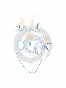 Illustration of a heart with flowers