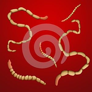 Illustration of helminths on color background. Parasites in human body