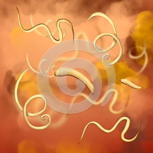 Illustration of helminths on color background. Parasites in human body