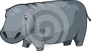 Illustration Hippo vector