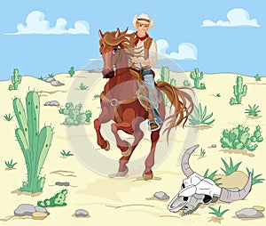Horse Riding Cowboy photo