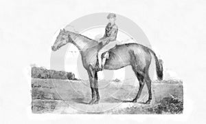 Illustration of Horses engraving