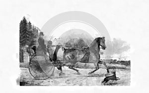 Illustration of Horses engraving