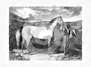 Illustration of Horses engraving