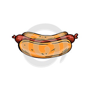 Illustration of hot dog with sausage. Fast food. Design element for poster, menu, banner, sign.