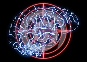 Illustration of a Human Brain
