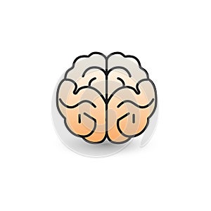 Illustration of human brain on white background