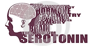 Illustration of a human head with brain textured by line and dots pattern. Serotonin relative words cloud