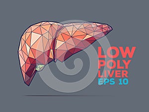 Liver poly faceted