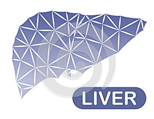 Illustration of a human liver with faceted sides. Triangular geometric effect