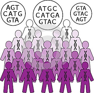 Illustration of human population carrying DNA - population genetics and genetic studies photo