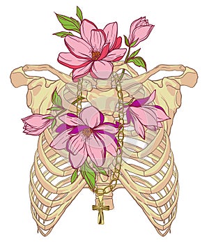 Illustration of a human rib cage with magnolias photo