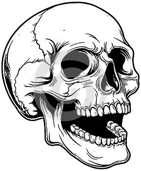 Illustration of a human skull laughing