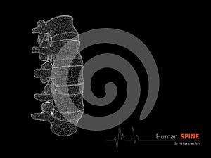 Illustration of Human spine abstract scientific background