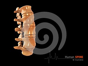 Illustration of Human spine abstract scientific background