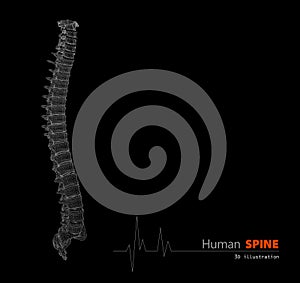 Illustration of Human spine abstract scientific background