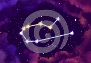 Illustration image of the constellation carina
